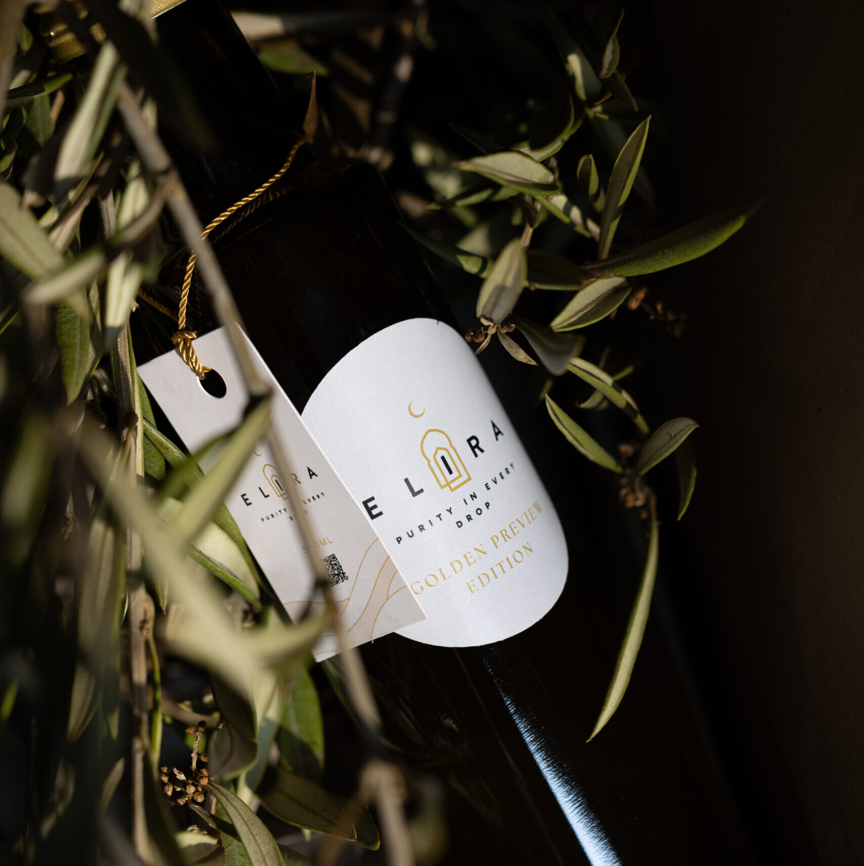 Extra natives Olivenöl aus Marokko in mediterranem Lifestyle-Setting – natürliche Genussmomente am Tisch