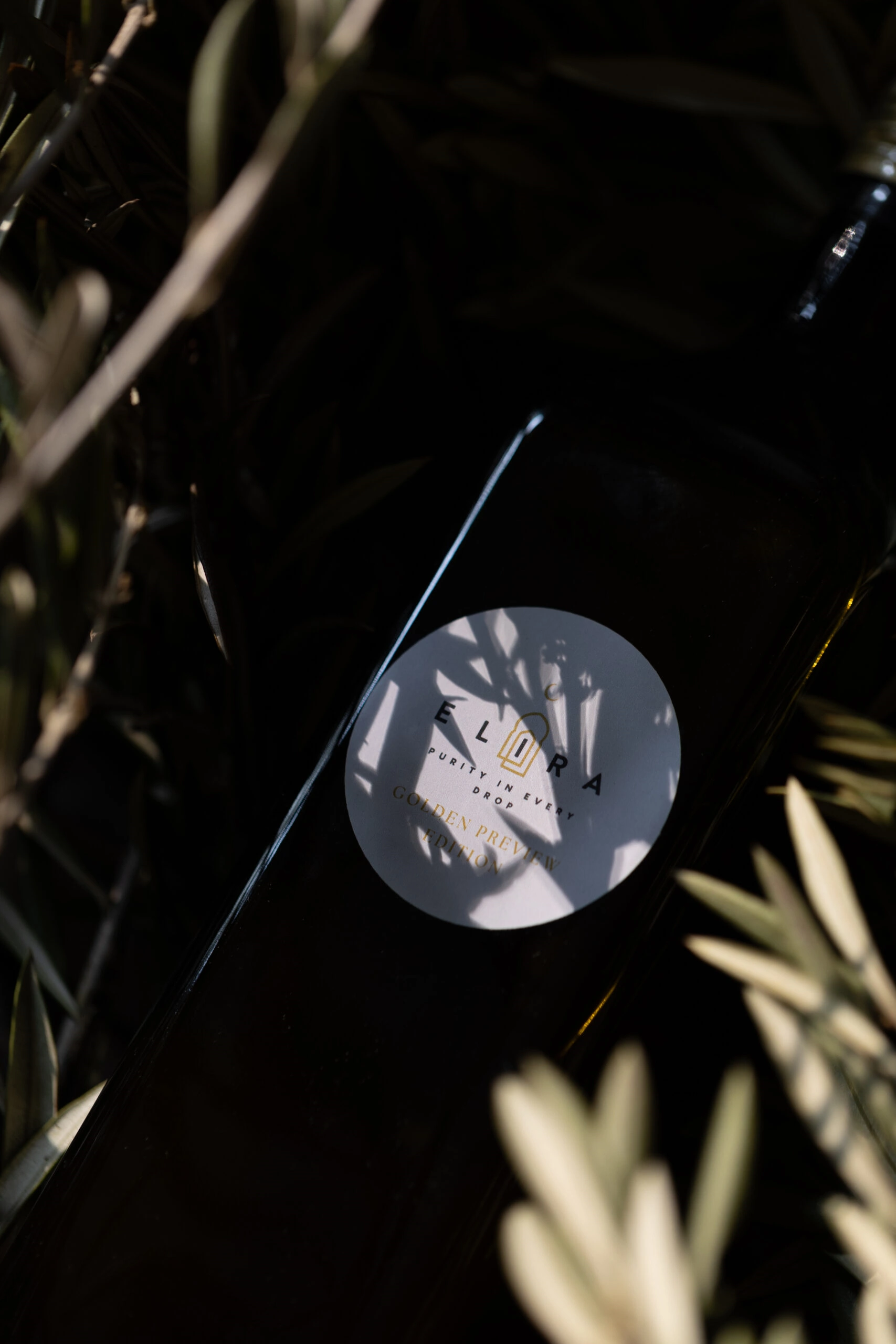 Extra natives Olivenöl, nachhaltig produziert, kaltgepresst