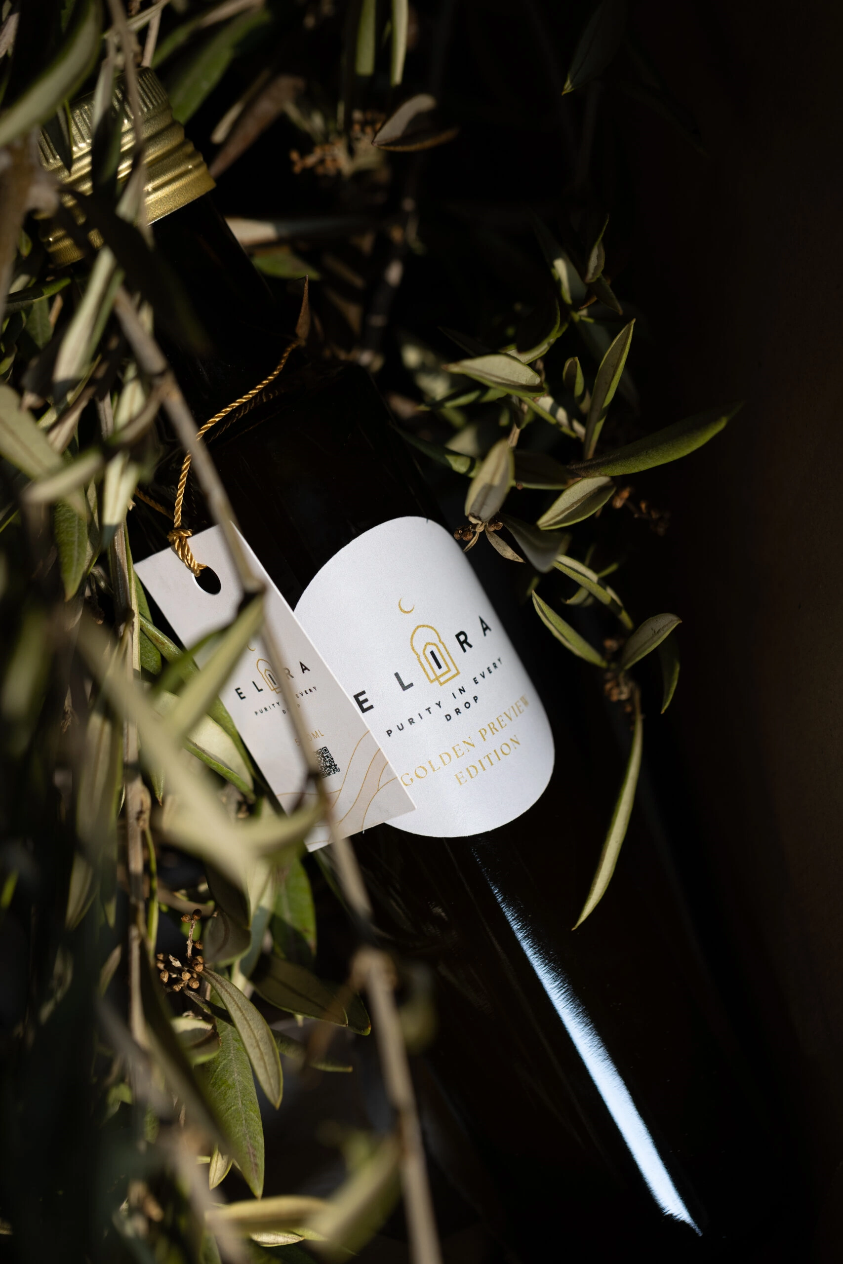 Extra natives Olivenöl kaufen – Glasflasche, kaltgepresst, naturbelassen, erste Pressung