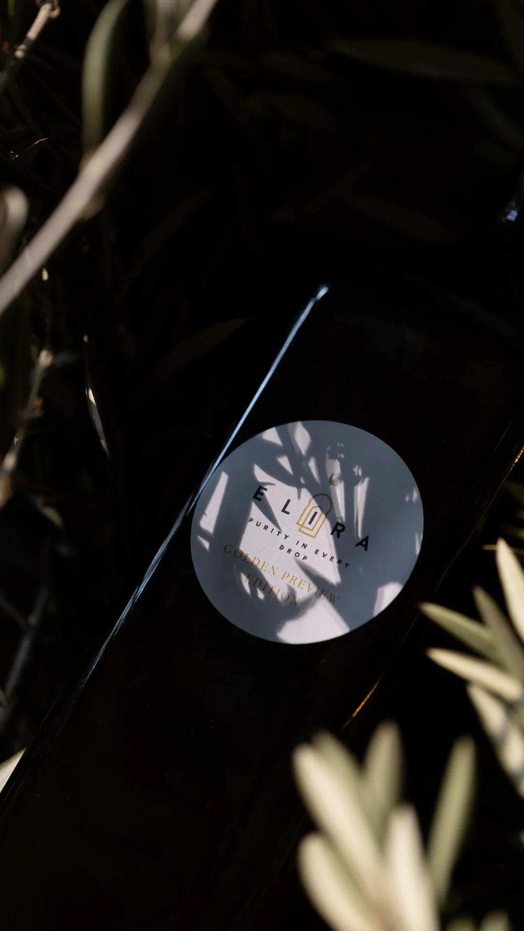 Extra natives Olivenöl, nachhaltig produziert, kaltgepresst